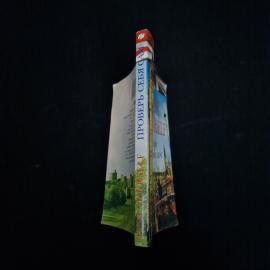 Картинка 2