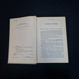 Картинка 5