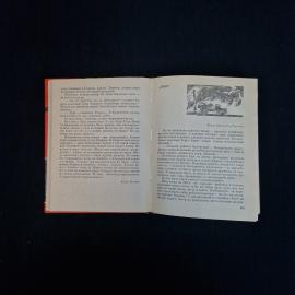 Картинка 6