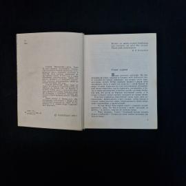 Картинка 6