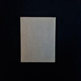 Картинка 3