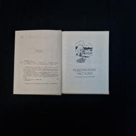 Картинка 4