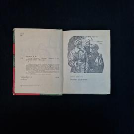 Картинка 5
