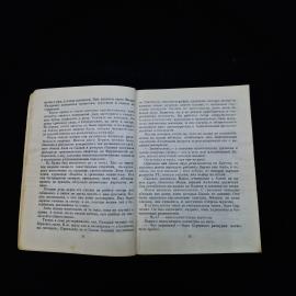 Картинка 6