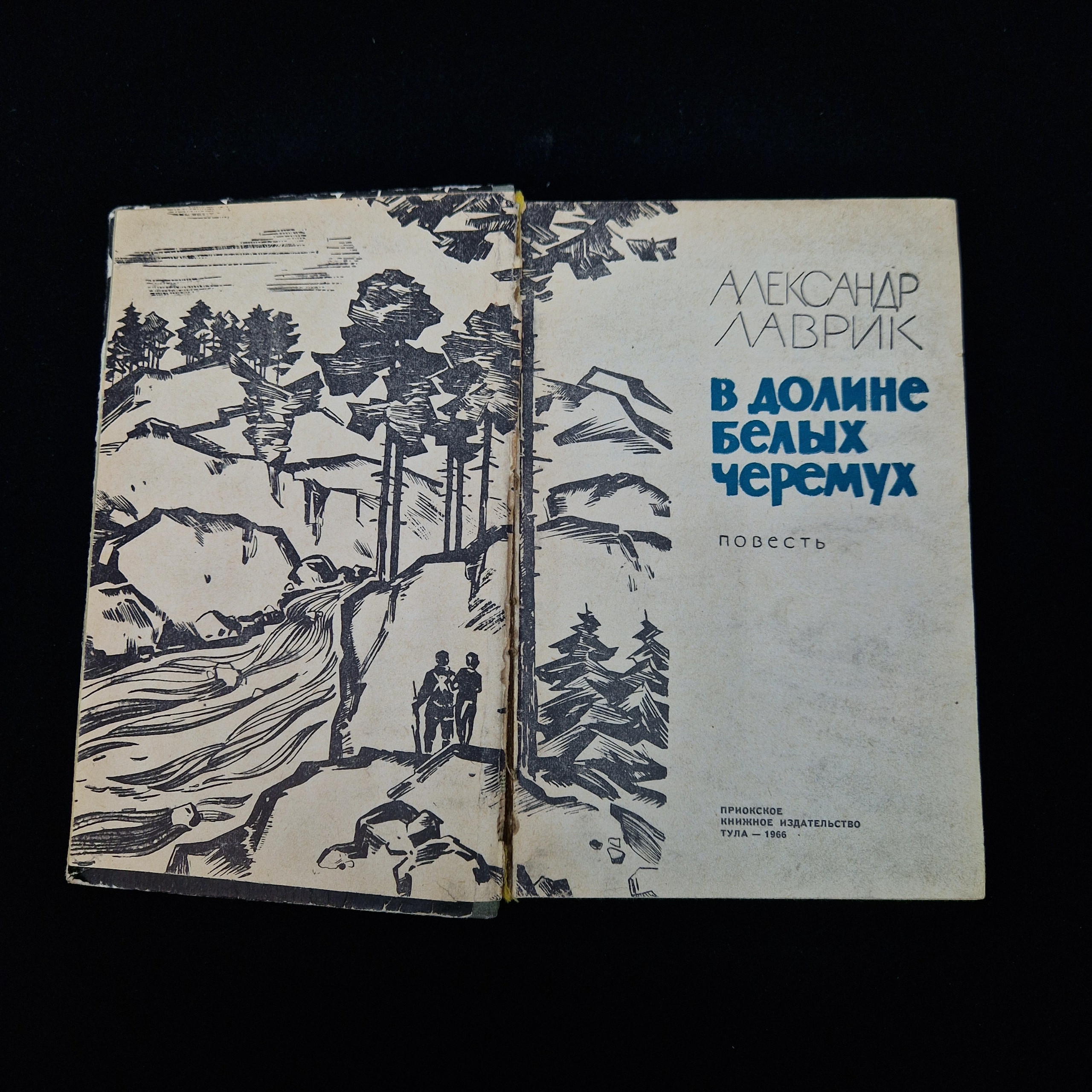 Картинка 4