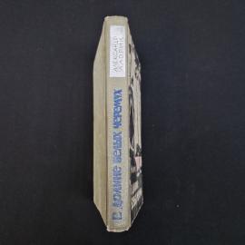 Картинка 3