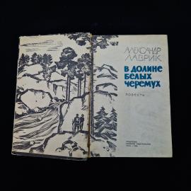 Картинка 4