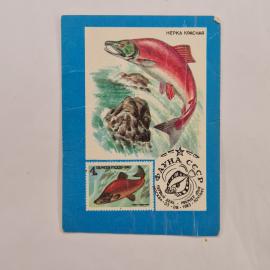 Карманный календарик 1991. Нерка красная на фоне природы, морская фауна. Календарь винтажный