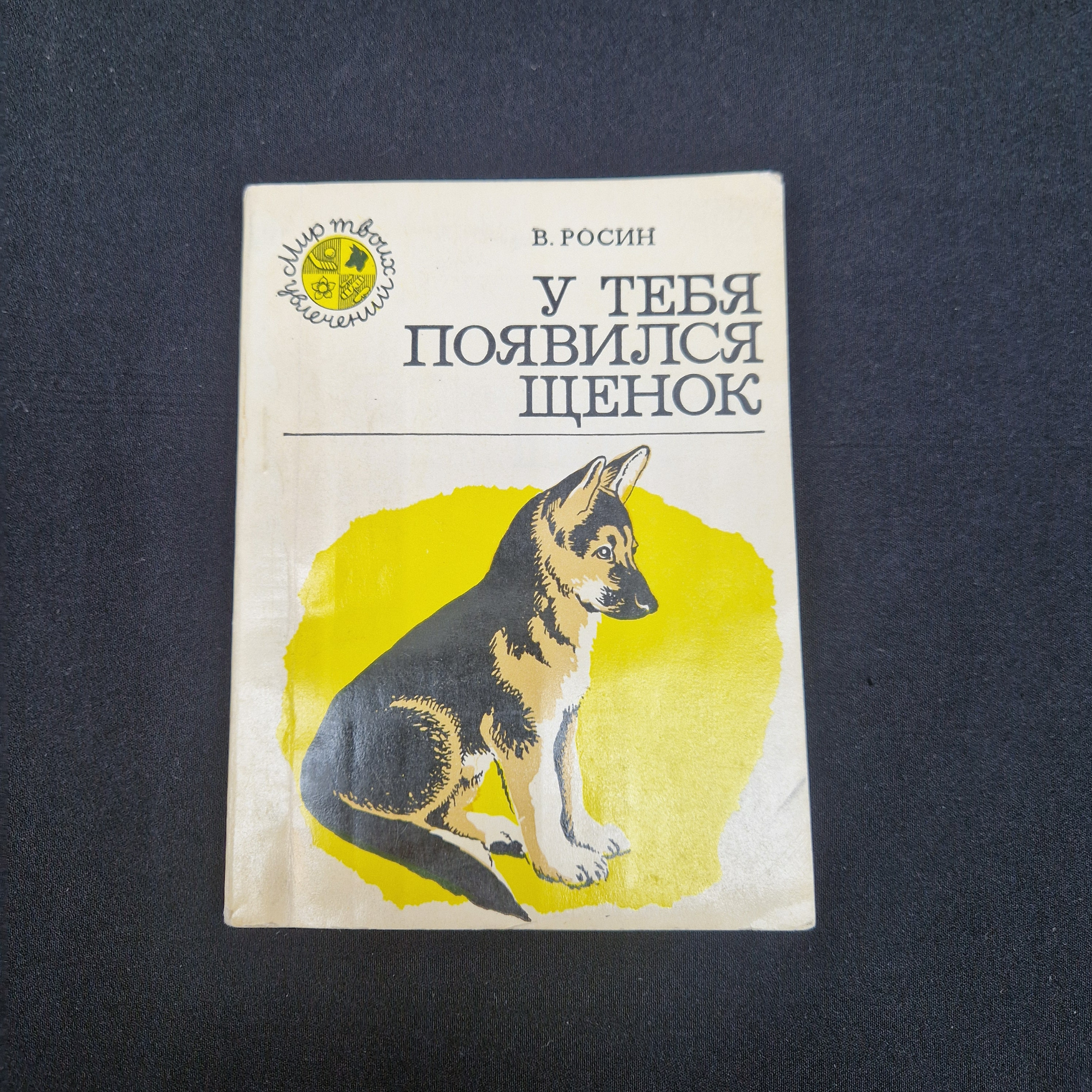 Картинка 1