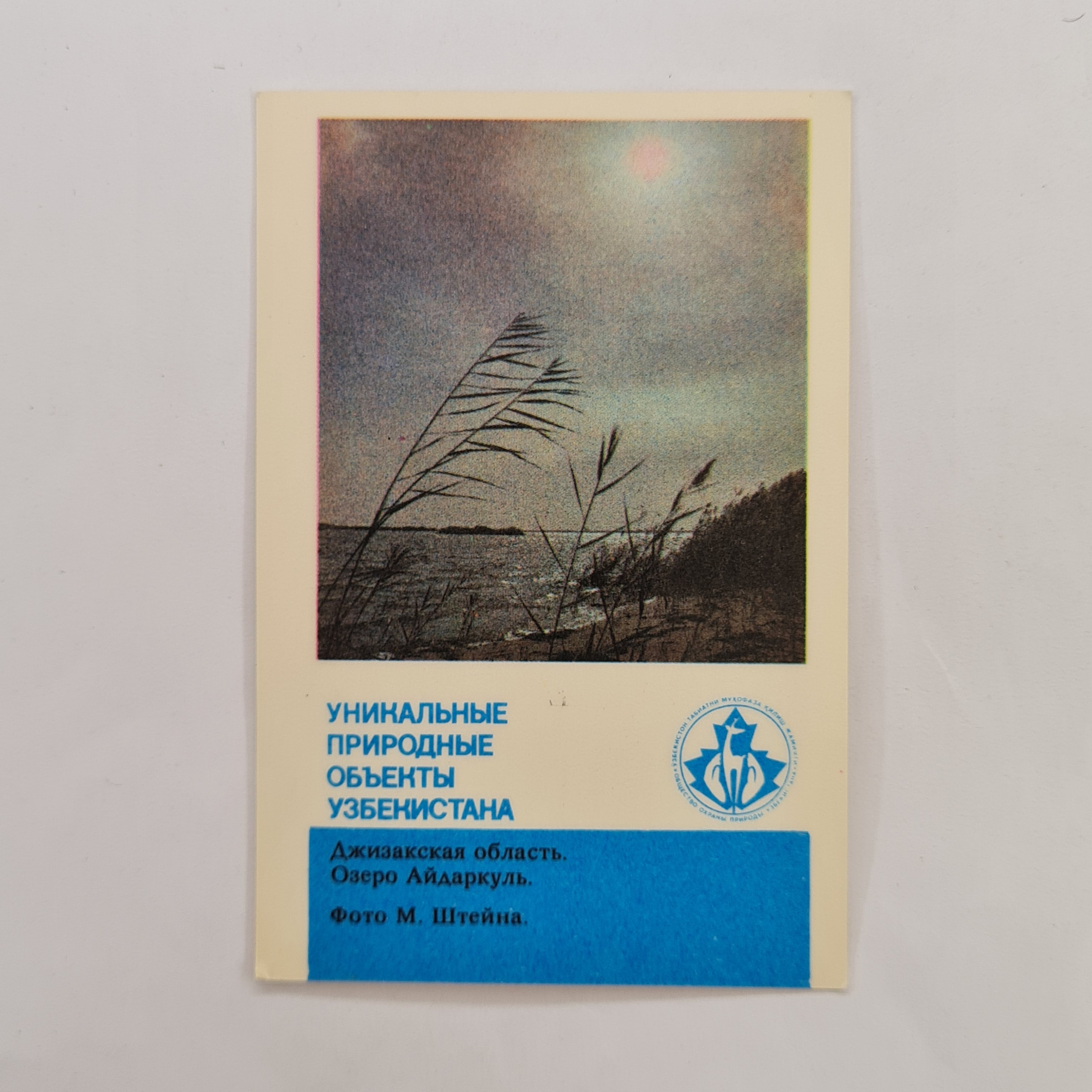 Картинка 1