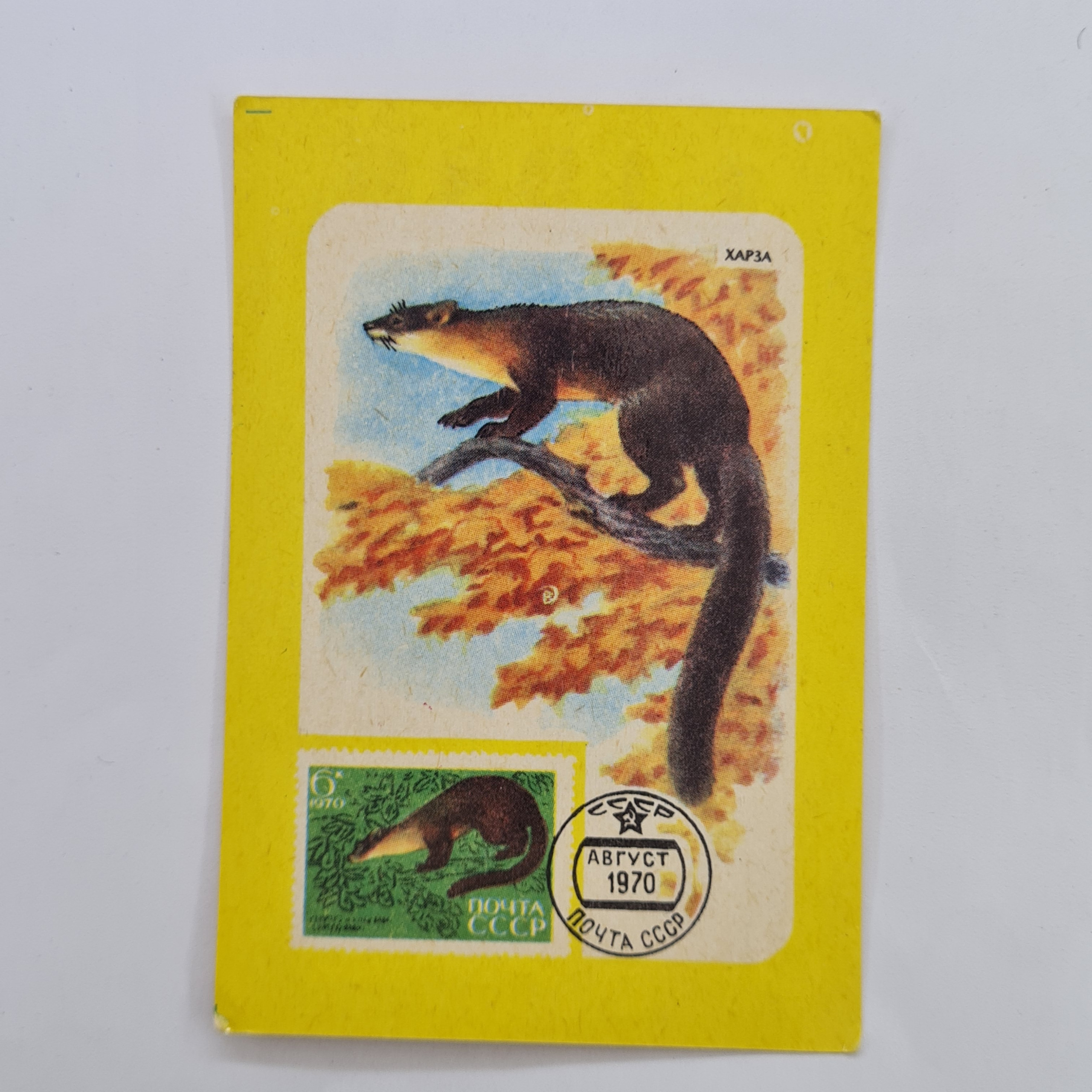 Картинка 1