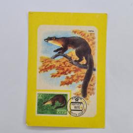 Карманный календарик 1989. Календарь с изображением природы и надписью. Календарь винтажный
