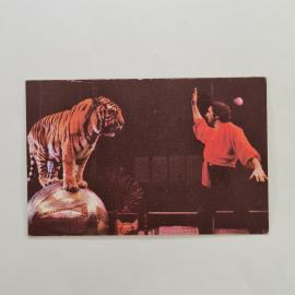 Карманный календарик 1989. Цирковые номера и выступления с тиграми. Календарь винтажный