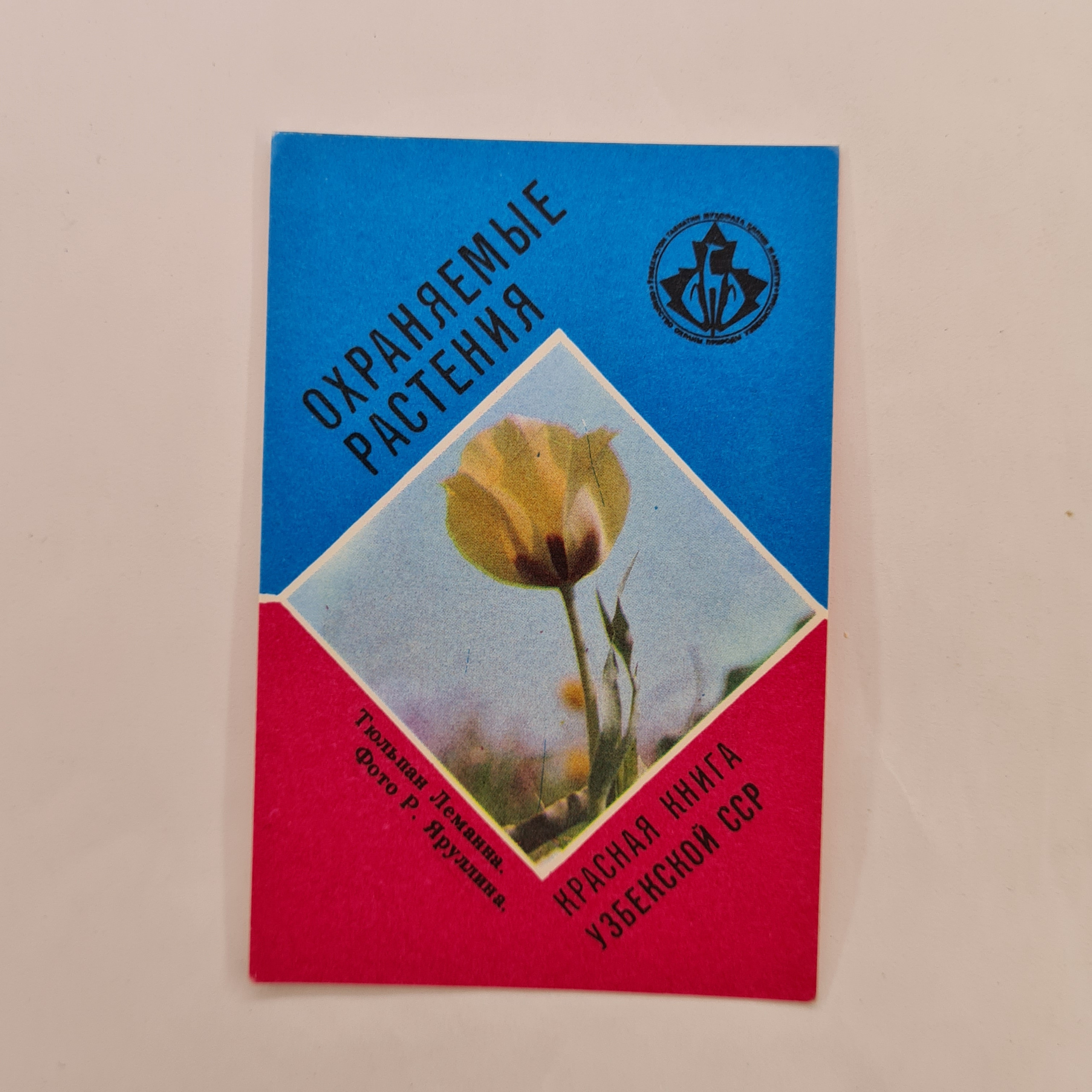 Картинка 1