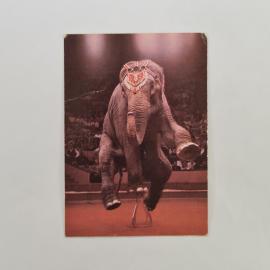 Карманный календарик СССР 1988. Программа выступлений советского цирка. Советский календарь