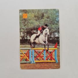 Карманный календарик 1987. Конный спорт, скачки, лошади и стильные всадники. Календарь винтажный