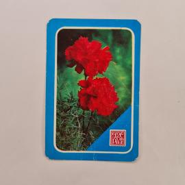Карманный календарик 1983. Красные гвоздики на фоне зелени. Календарь винтажный