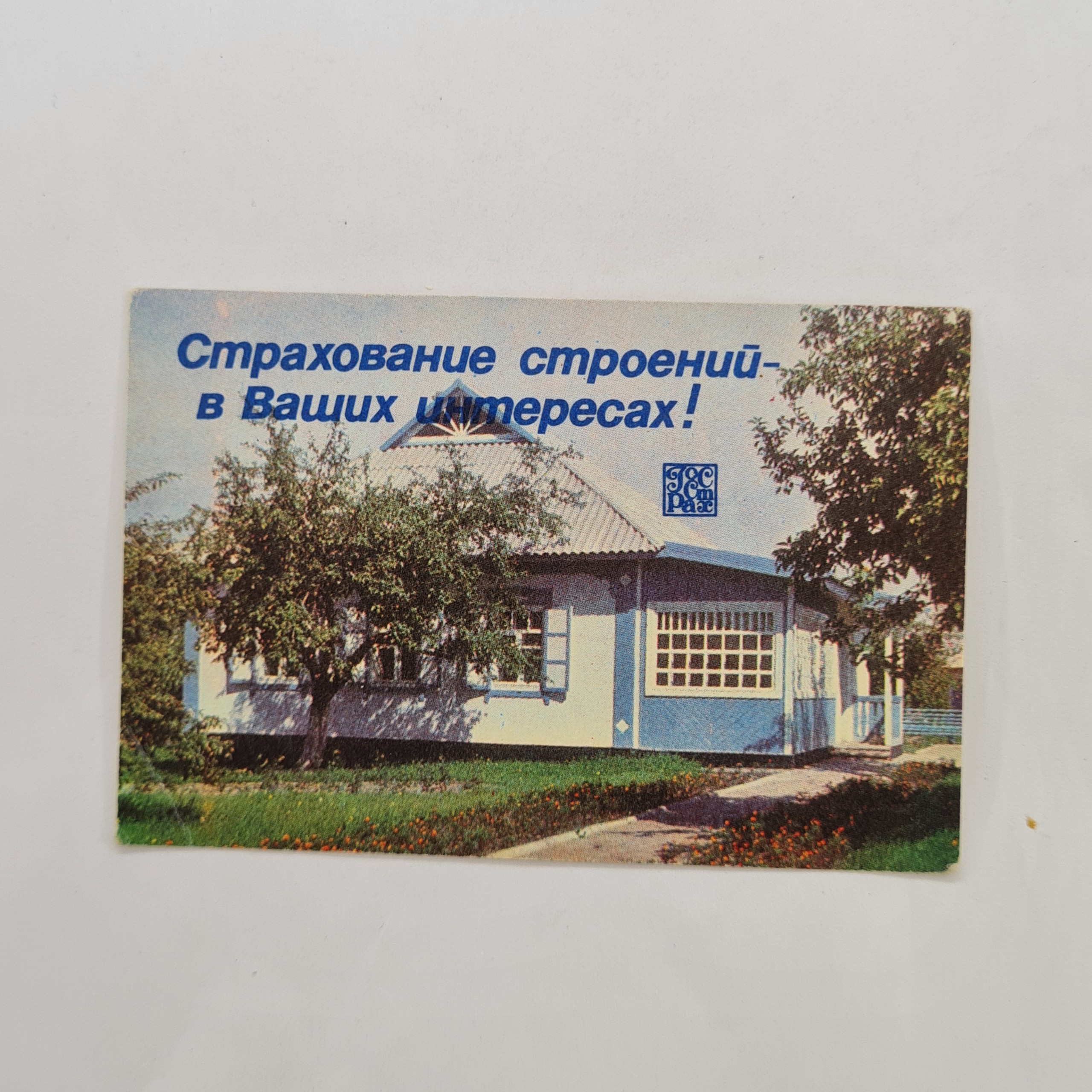 Картинка 1