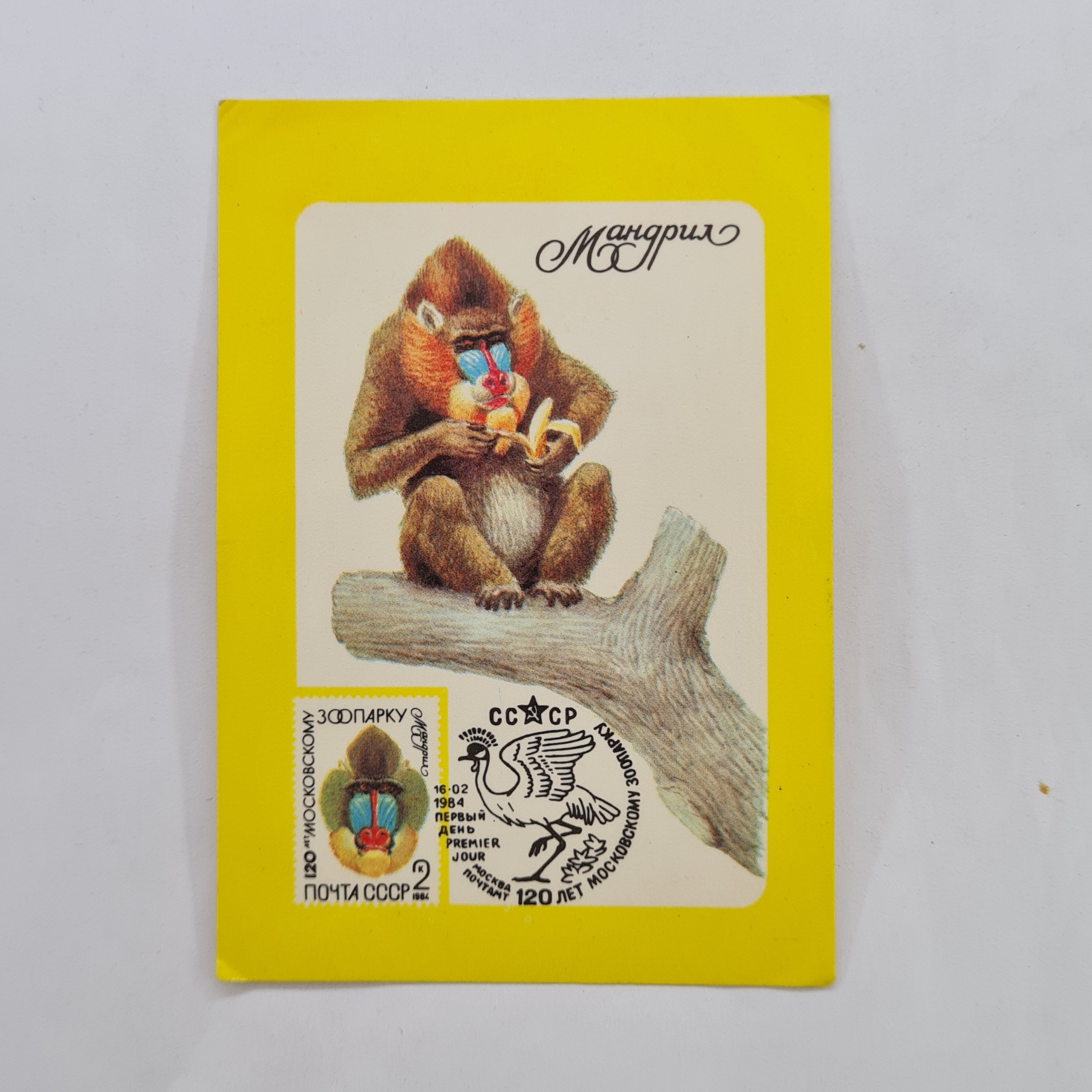 Картинка 1