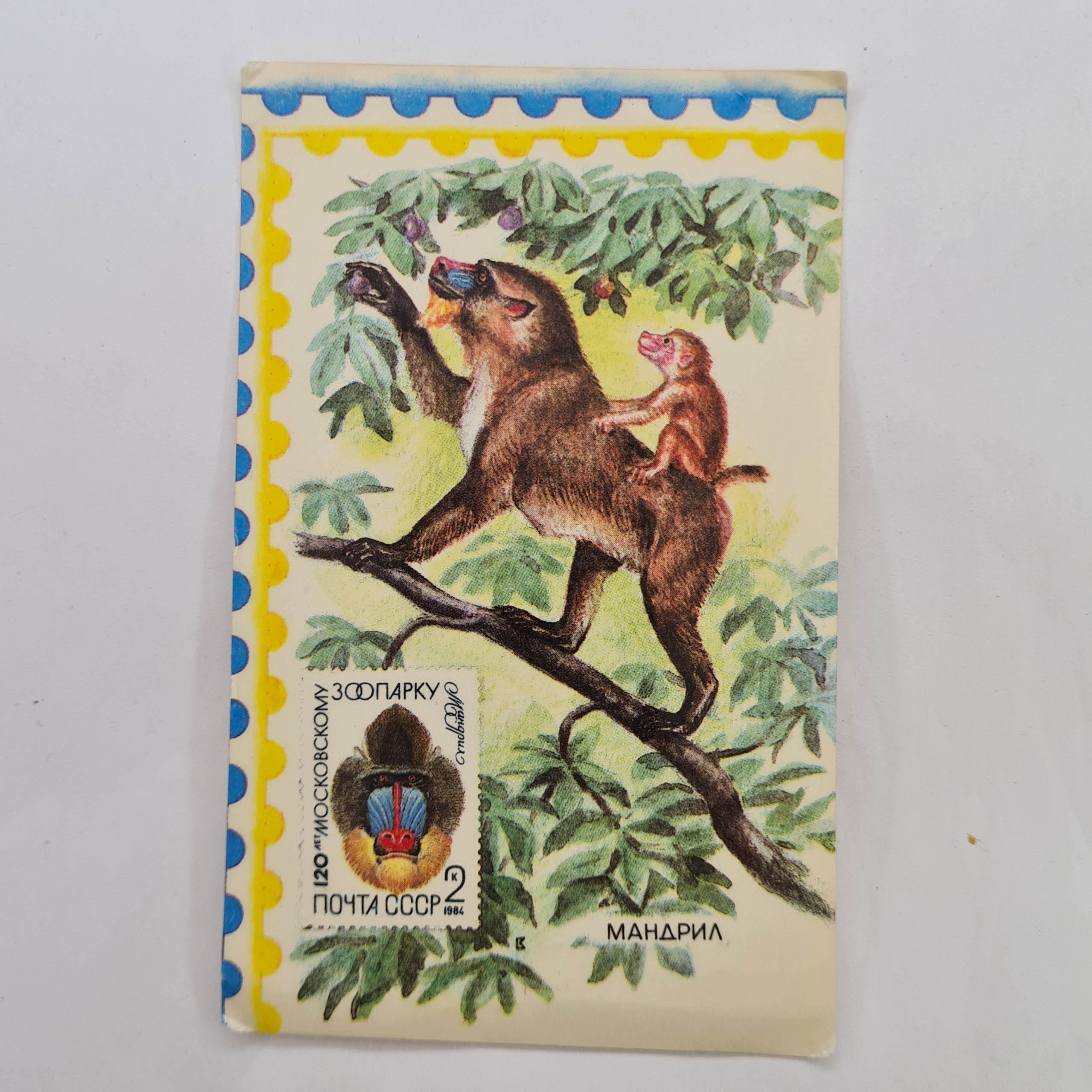 Картинка 1