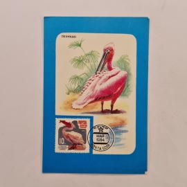 Карманный календарик 1990. Пеликан на фоне зелени, изображения почтовой марки. Календарь винтажный