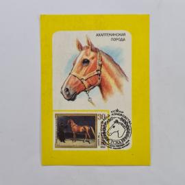 Карманный календарик СССР 1990. Ахалтекинская порода лошадей. Советский календарь