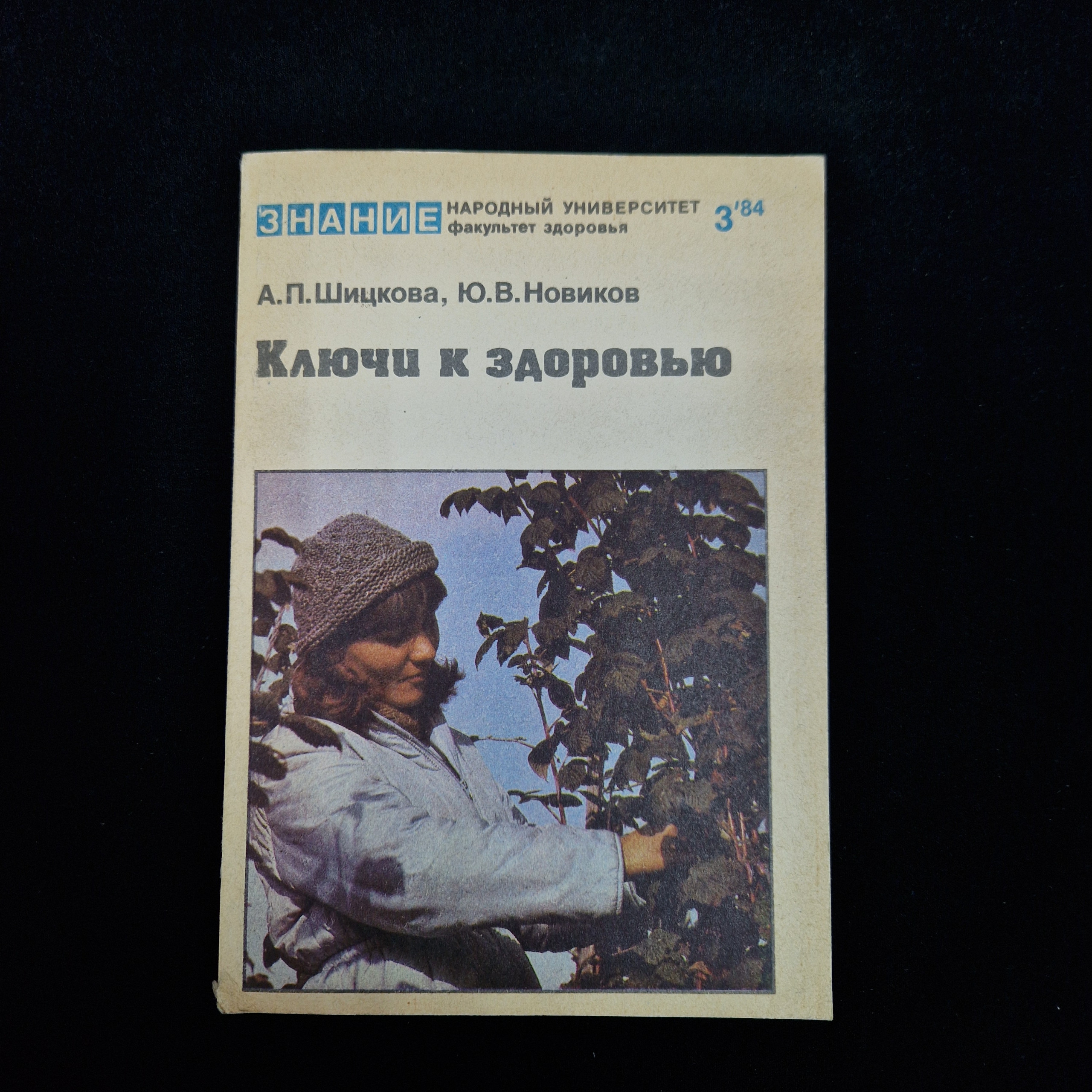 Картинка 1