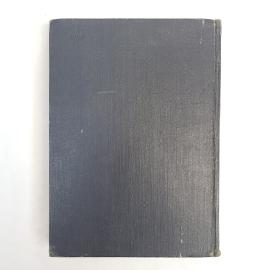 Картинка 3