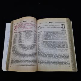 Картинка 6