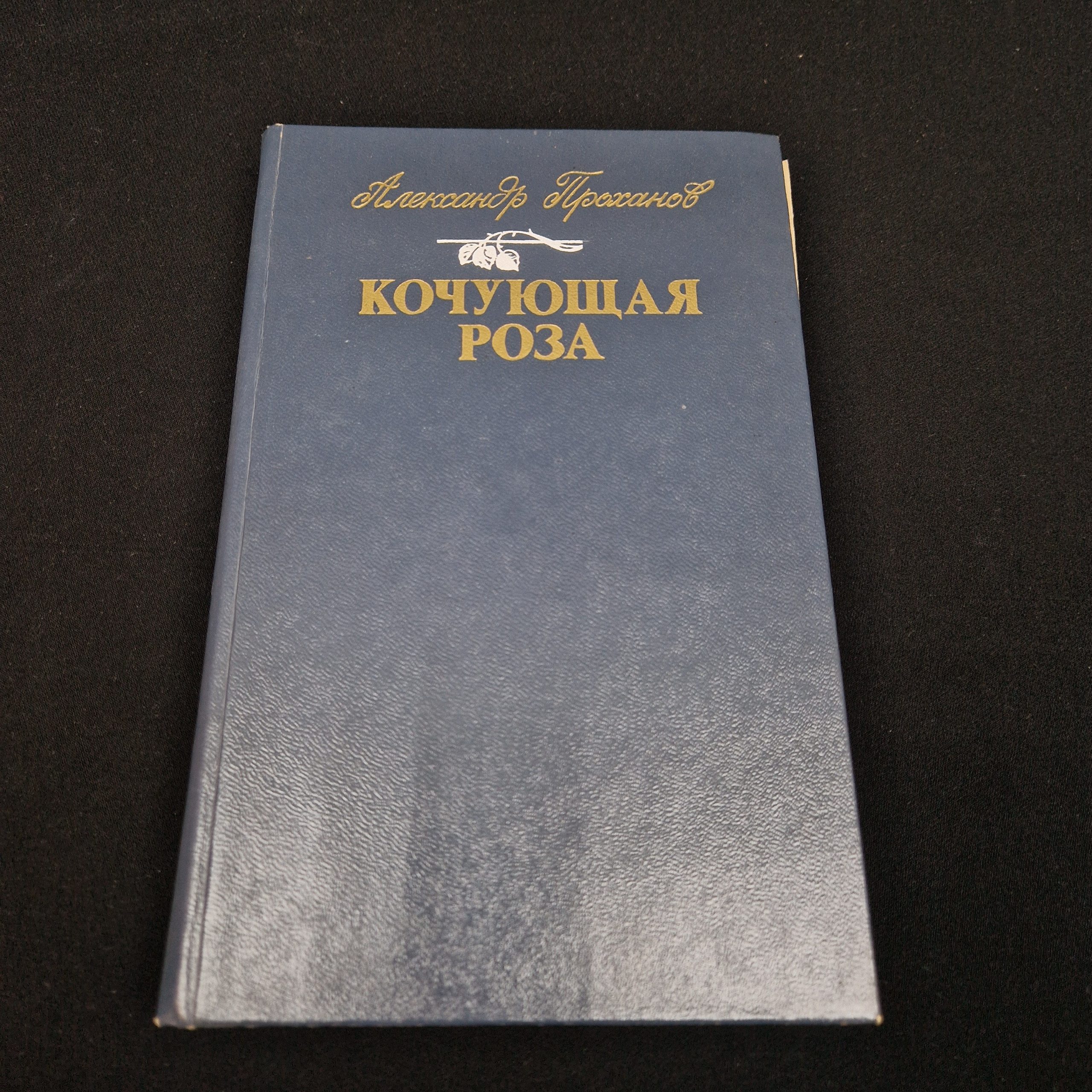 Картинка 1