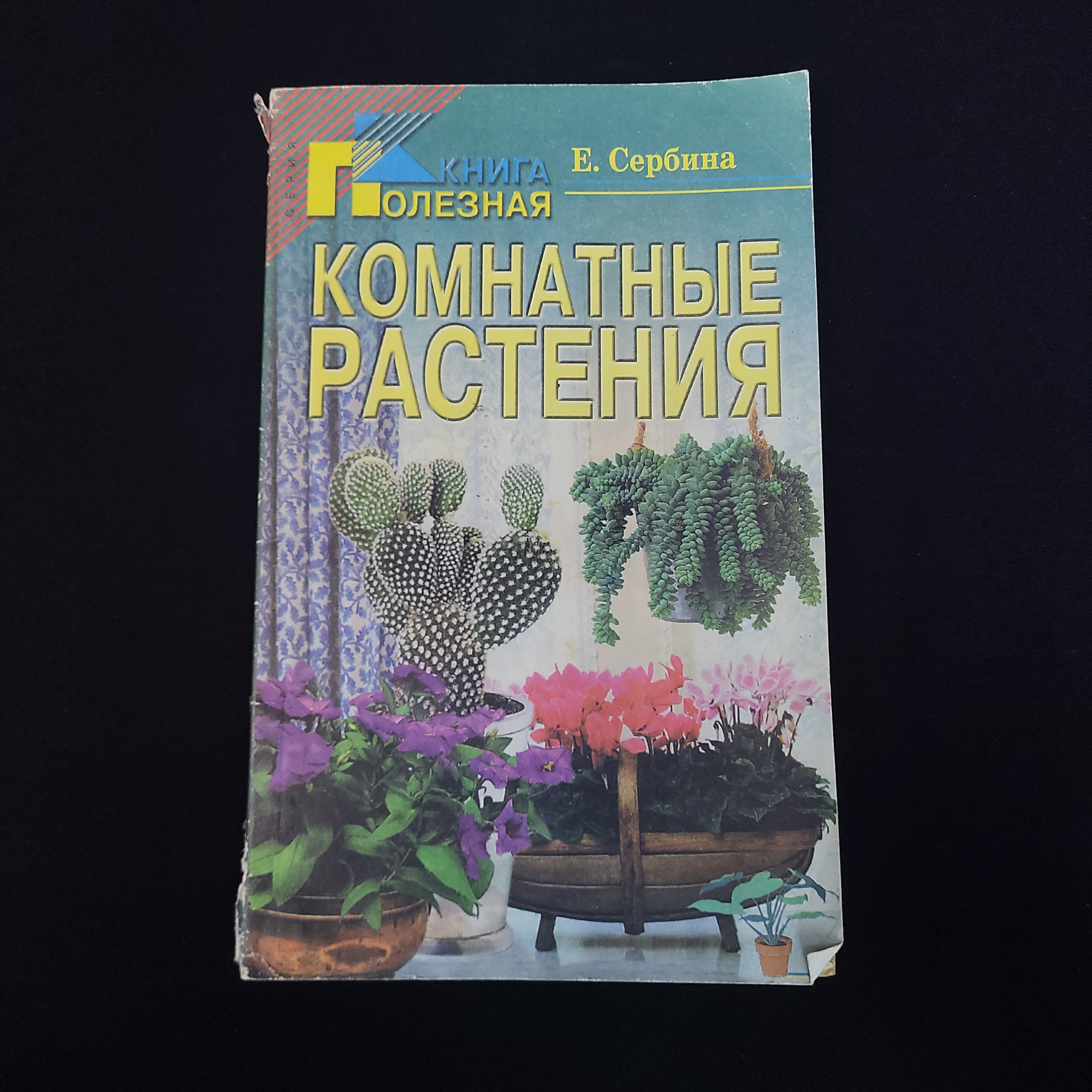 Картинка 1
