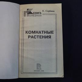Картинка 5