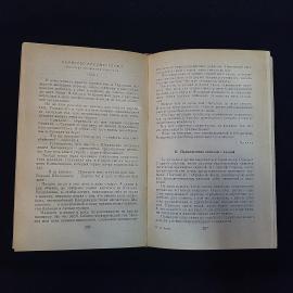 Картинка 6