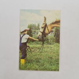 Карманный календарик 1989. Мальчик с лошадью на лугу. Календарь винтажный