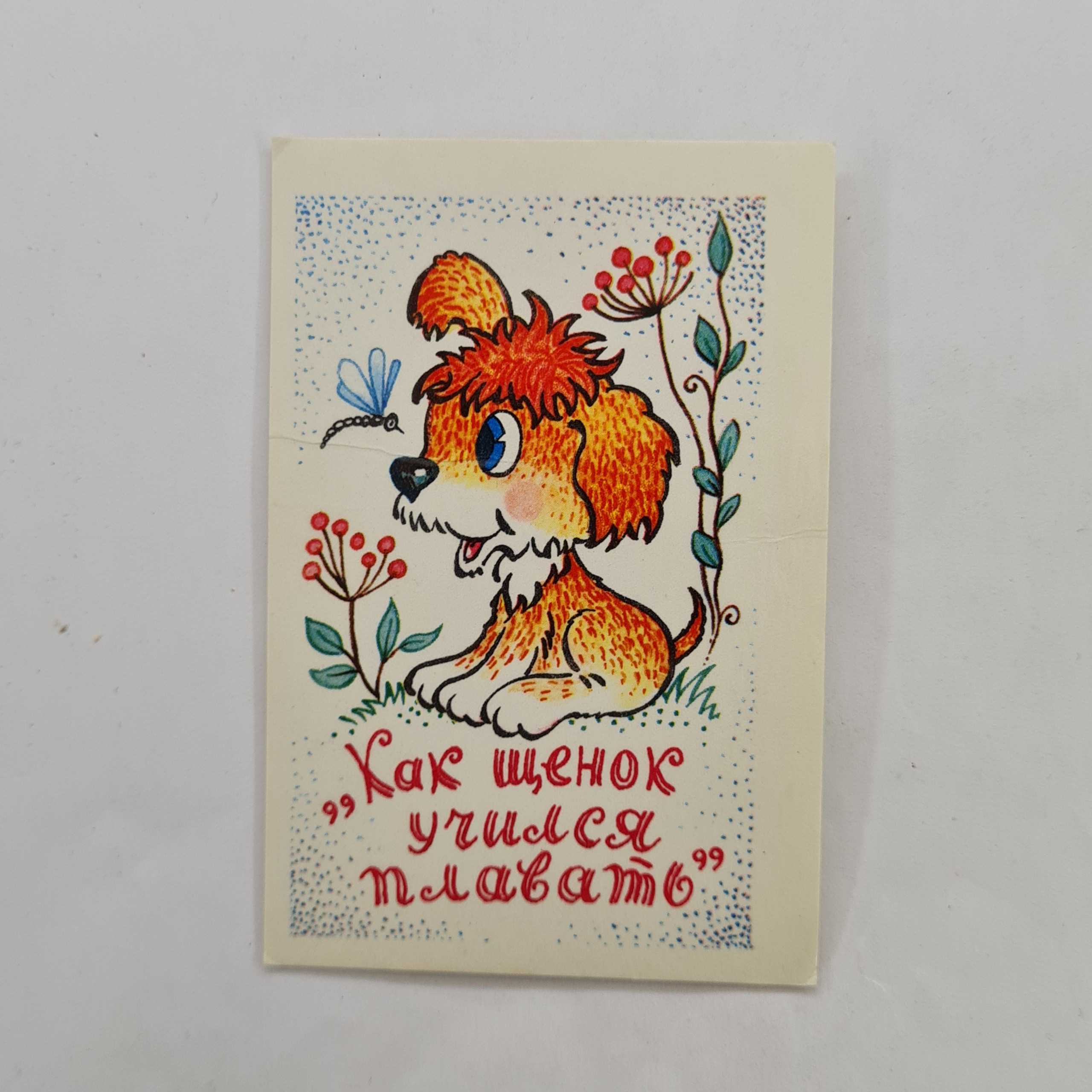 Картинка 1