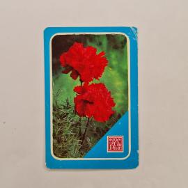 Картинка 1