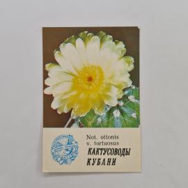 Карманный календарик 1986. Цветы кактусов и информация о растениях. Календарь винтажный