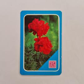 Карманный календарик 1983. Красные гвоздики на фоне зелени. Календарь винтажный