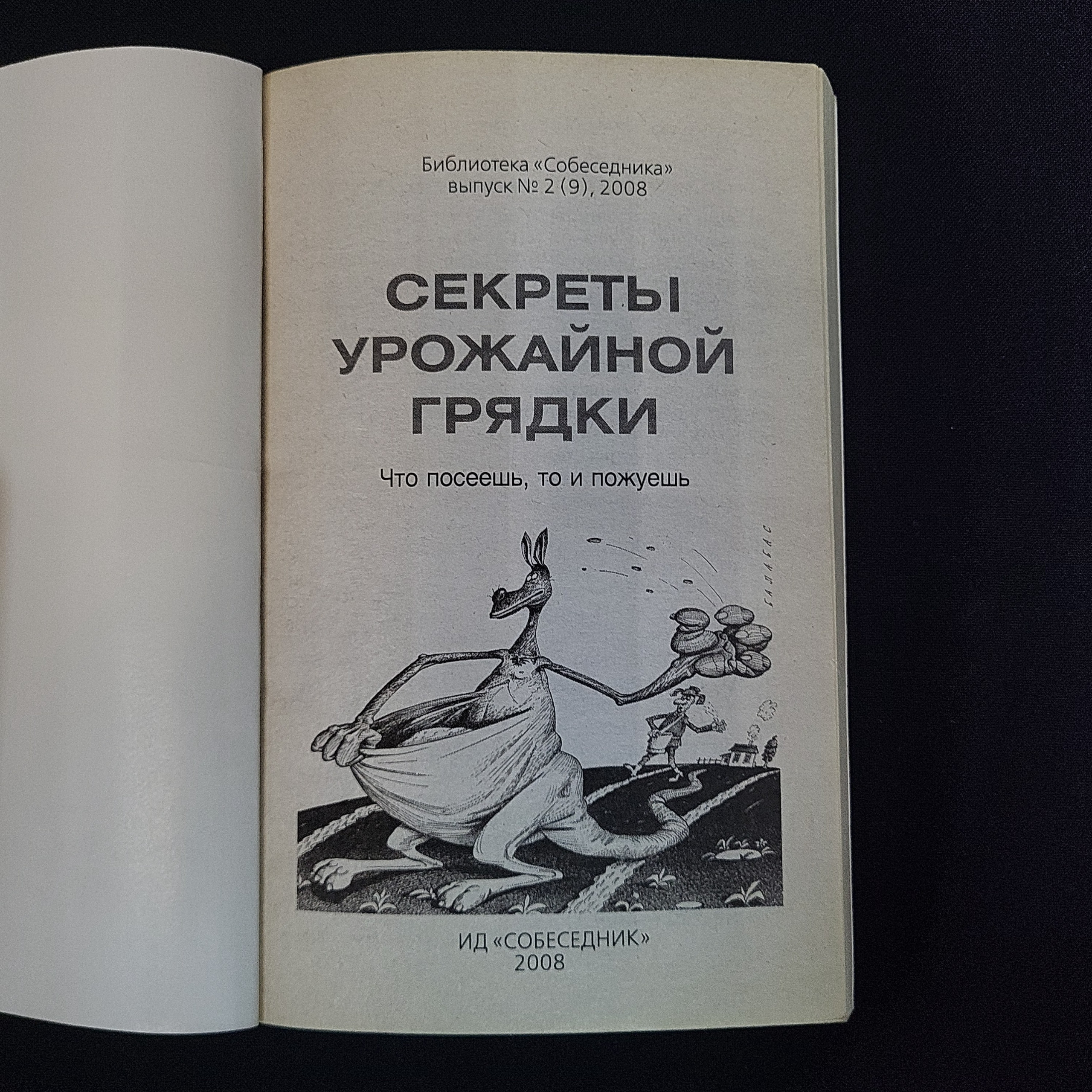 Картинка 3