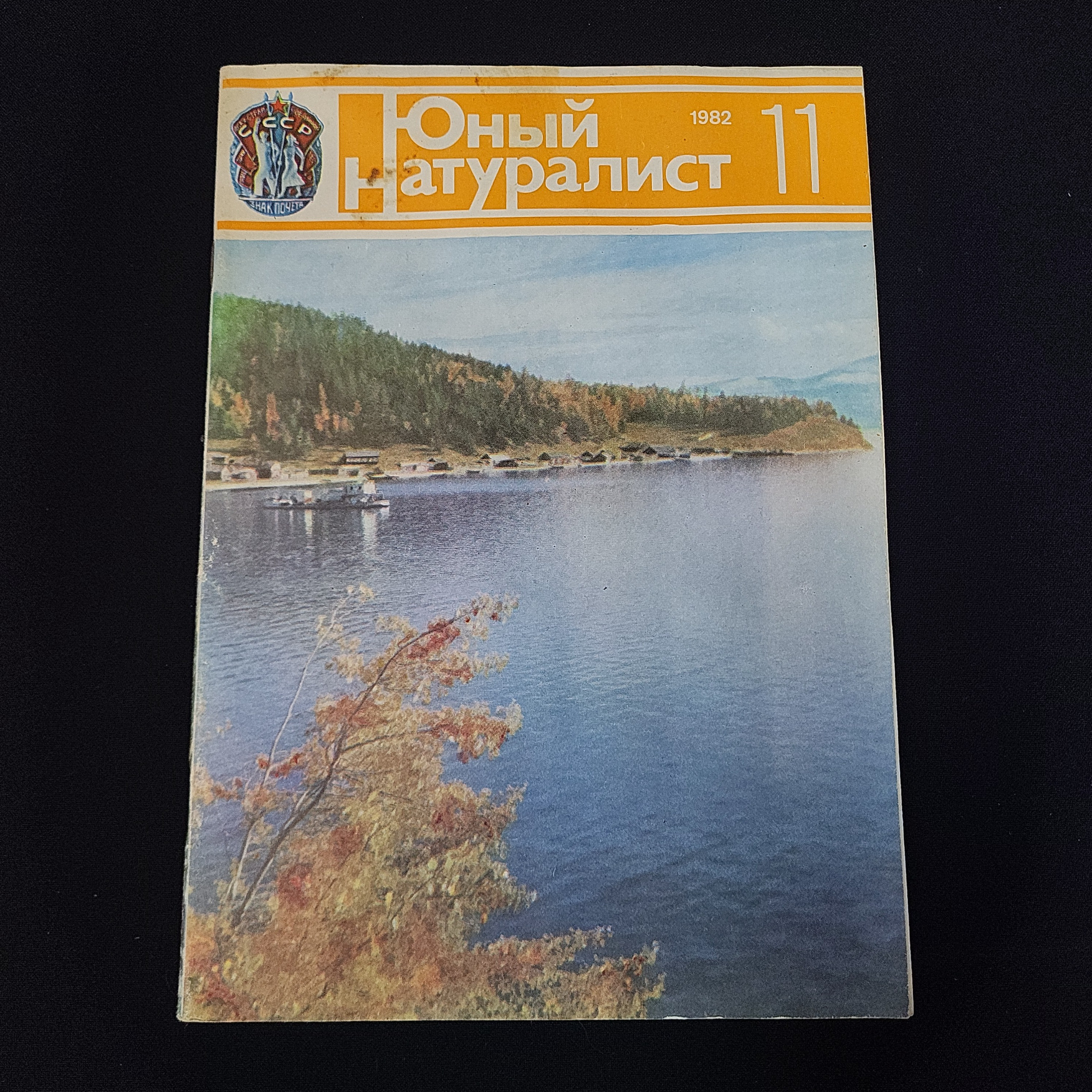 Картинка 1
