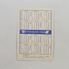 Картинка 2