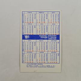 Картинка 2