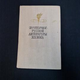 История русской литературы XIX века. Книга СССР, учебник по русской литературе
