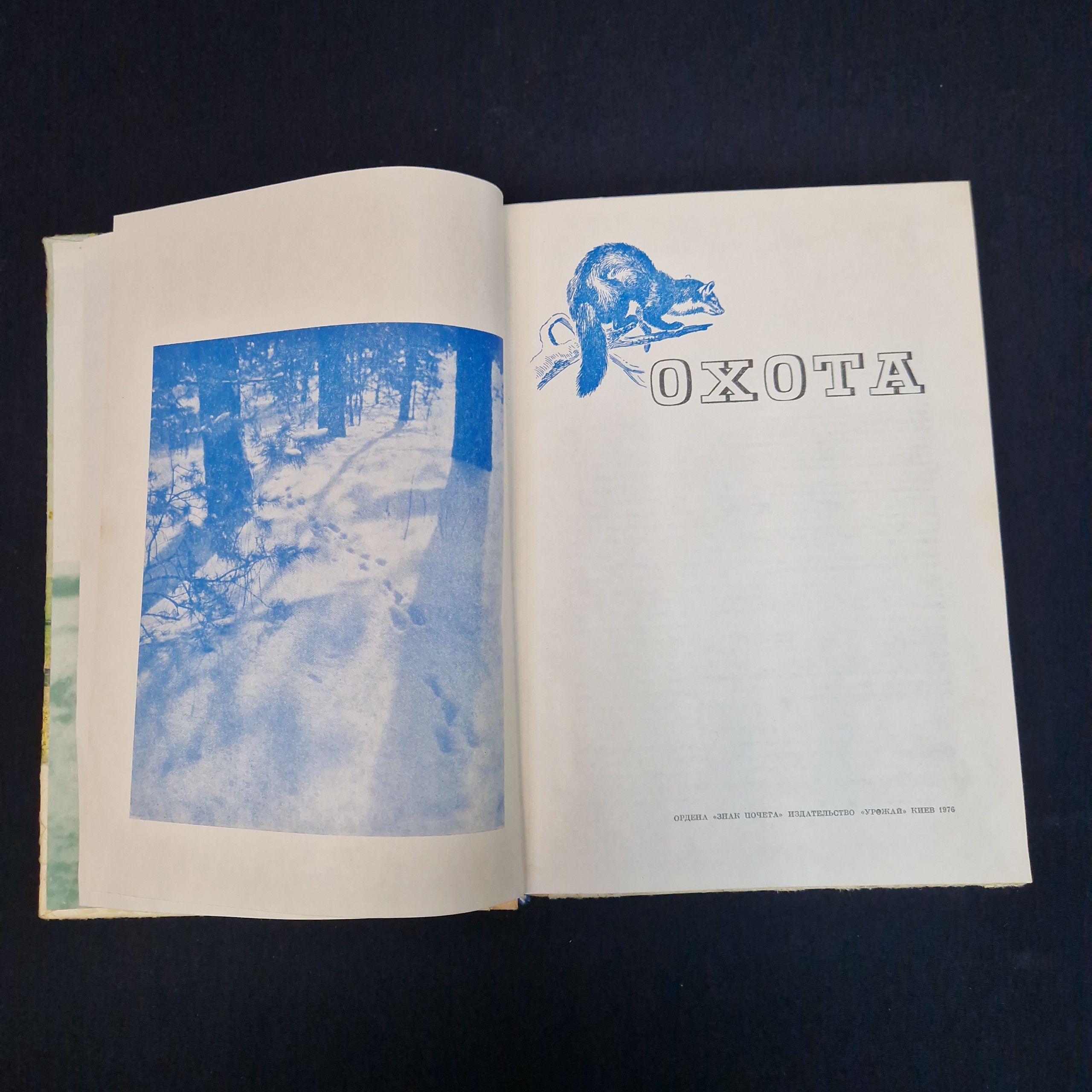 Картинка 6