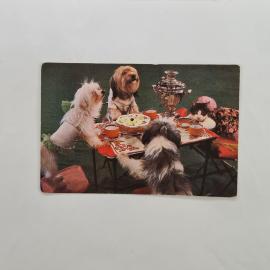 Карманный календарик 1984. Цирк и кошки за столом. Календарь винтажный