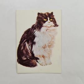 Карманный календарик 1985. Кот и кошка, милые животные на фоне. Календарь винтажный