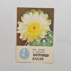 Карманный календарик 1986. Кактусы и цветы. Календарь с советской тематикой