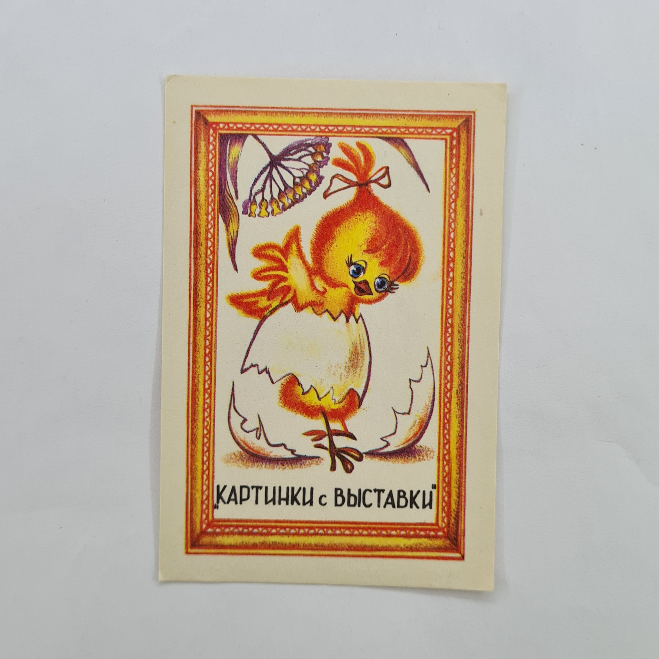 Картинка 1