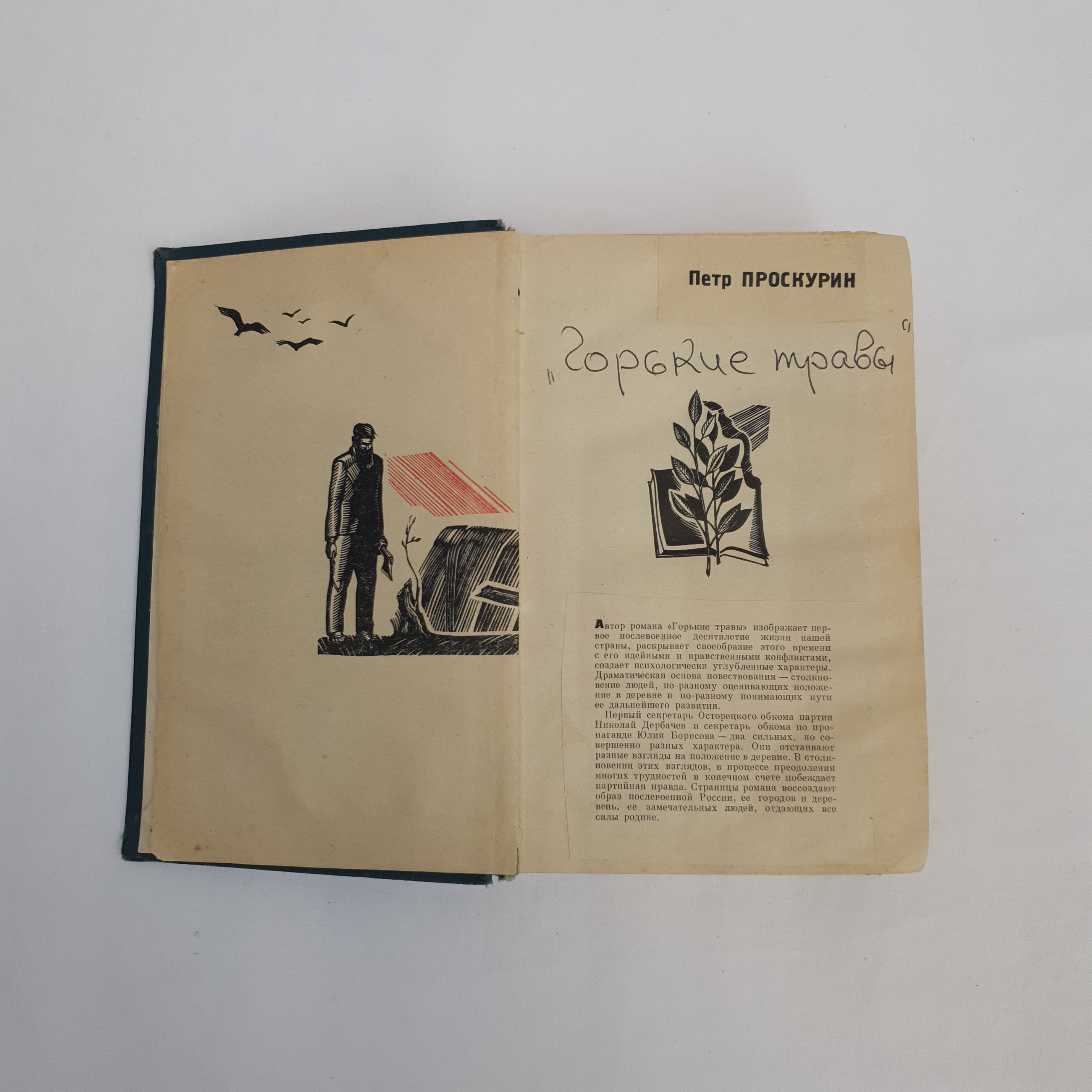 Картинка 6