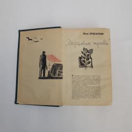 Картинка 6